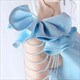 elegant Women's Dresses: Prom, Gala, Occasions