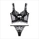 Mesh 3/4 Cup Bra And Thong Set