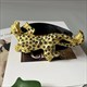 genuine Leather Leopard Cummerbunds: Elevate Your Wardrobe
