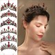 Regal Red Crystal Queen Tiara