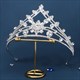 Cubic Wedding Crown With Sparkling Crystal Details