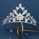 Cubic Wedding Crown With Sparkling Crystal Details